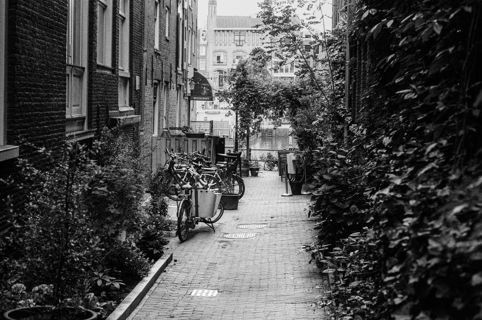 photograph in amsterdam, shot on LEICA Q2