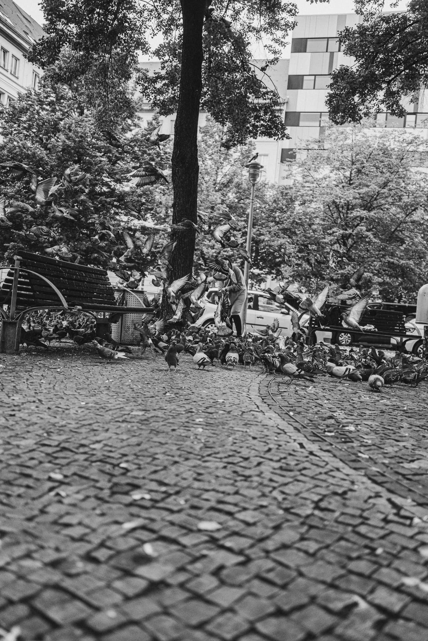 photograph in berlin, shot on NIKON F3 HP with NIKKOR 50MM F/1.4, ILFORD HP5 PLUS 400