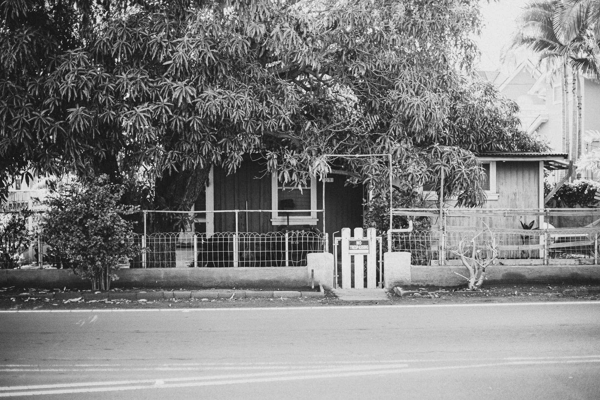 photograph in lahaina, shot on NIKON F3 HP with NIKKOR 50MM F/1.4, ILFORD HP5 PLUS 400