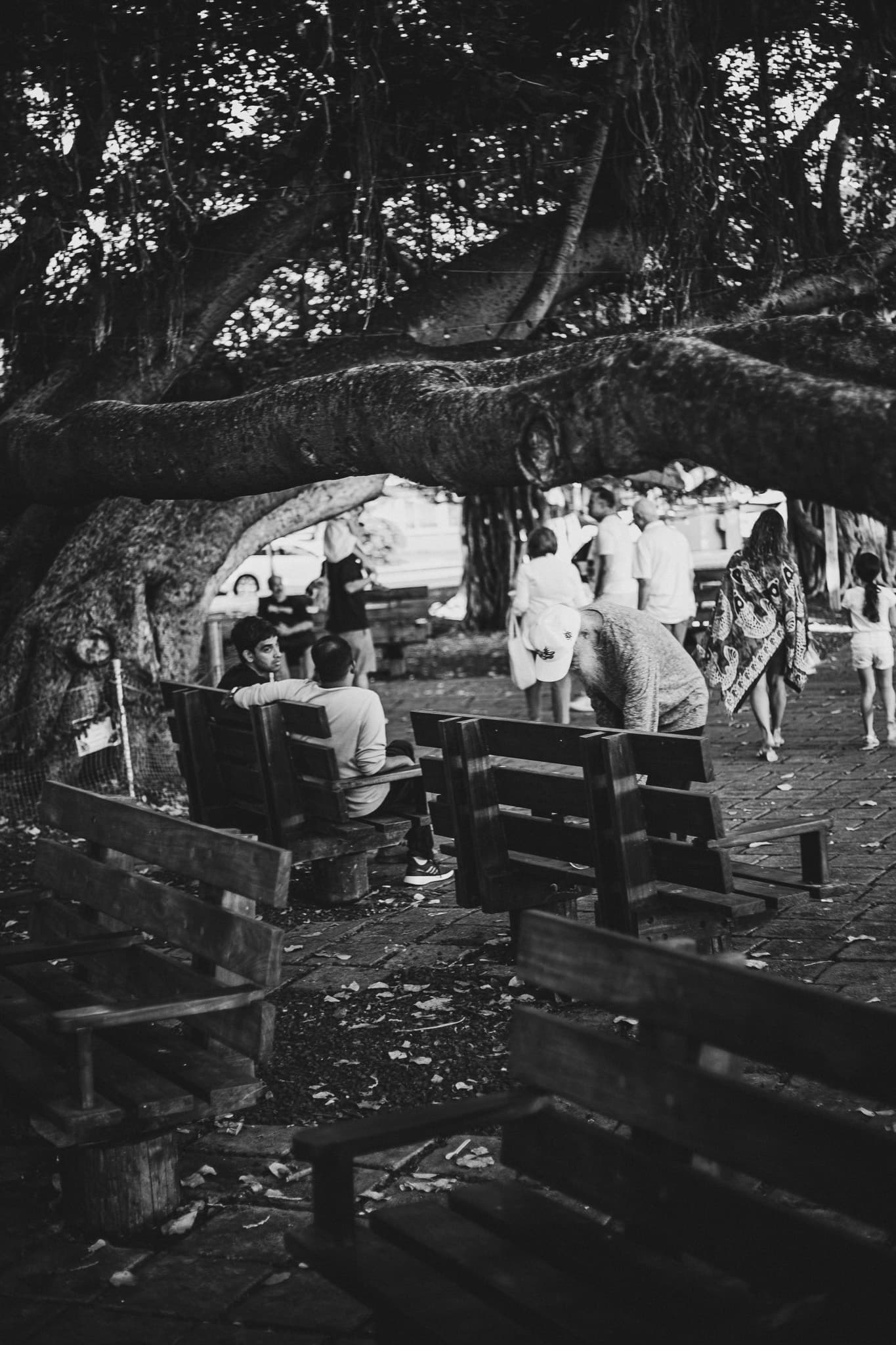 photograph in lahaina, shot on NIKON F3 HP with NIKKOR 50MM F/1.4, ILFORD HP5 PLUS 400