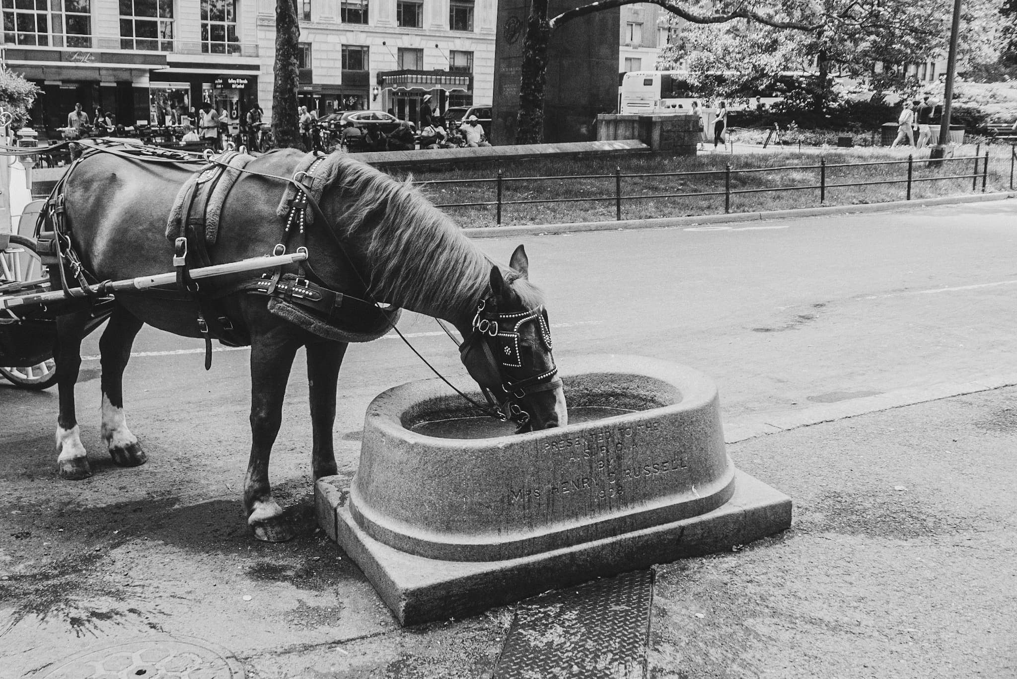photograph in new york, shot on NIKON F3 HP with NIKKOR 50MM F/1.4, ILFORD HP5 PLUS 400